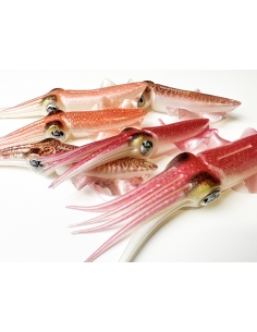 Señuelo Tunita Squid 160mm