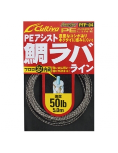 owner_pfp-04_bolsa_66101
